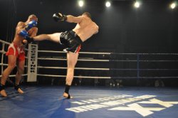 Dawid Kasperski (Dragon Starachowice) - zawodowa walka kickboxing